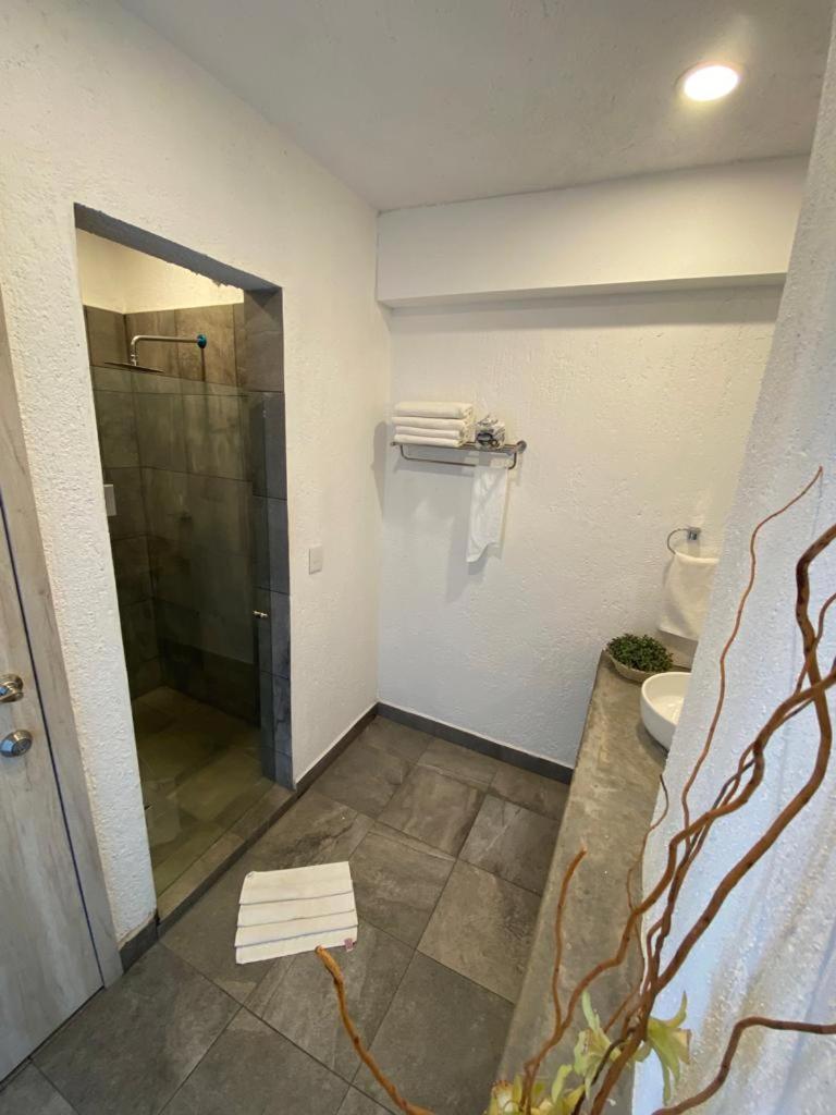 Hotel Aeropuerto Morelia Alvaro Obregon Εξωτερικό φωτογραφία